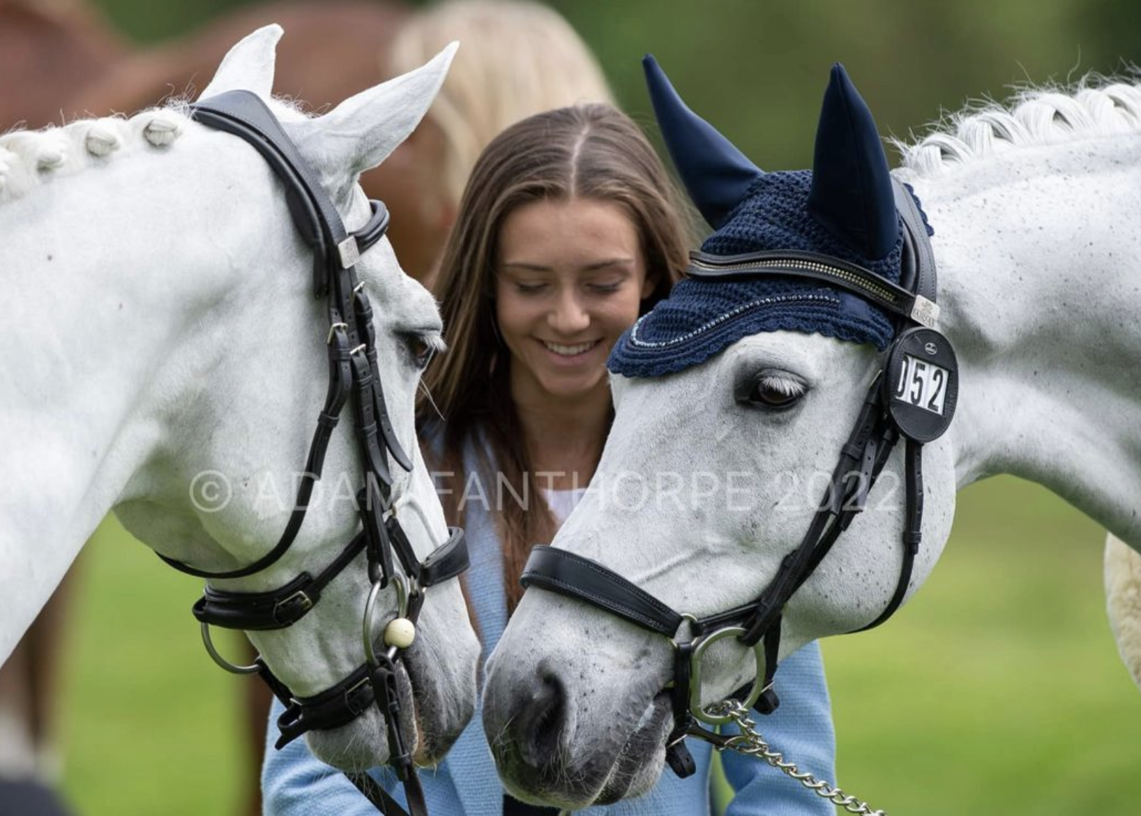 A young woman stands between two white horses facing each other, smiling as she gently holds their reins. Both horses wear bridles, and one has a blue ear bonnet with a number tag. Green grass is visible in the background.