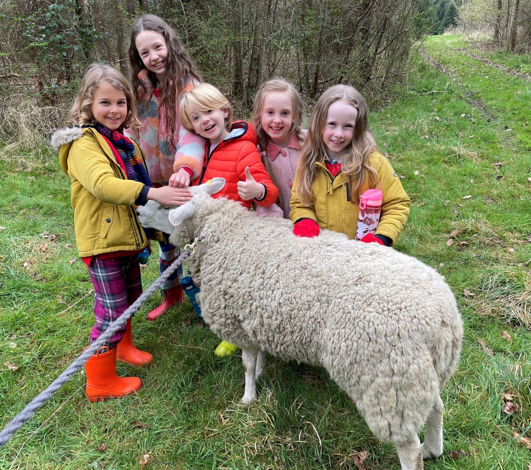 Five smiling children stand outdoors on grass, stroking a sheep. The children wear colourful jackets and wellies. Trees and greenery surround the group, creating a cheerful and natural atmosphere.