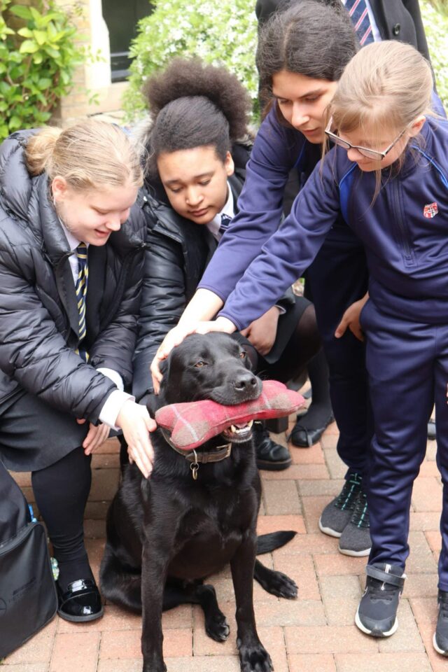 Four students in school uniforms smile and stroke a black dog holding a checked toy in its mouth while standing on a brick path outdoors, highlighting the school's commitment to Pastoral Care.