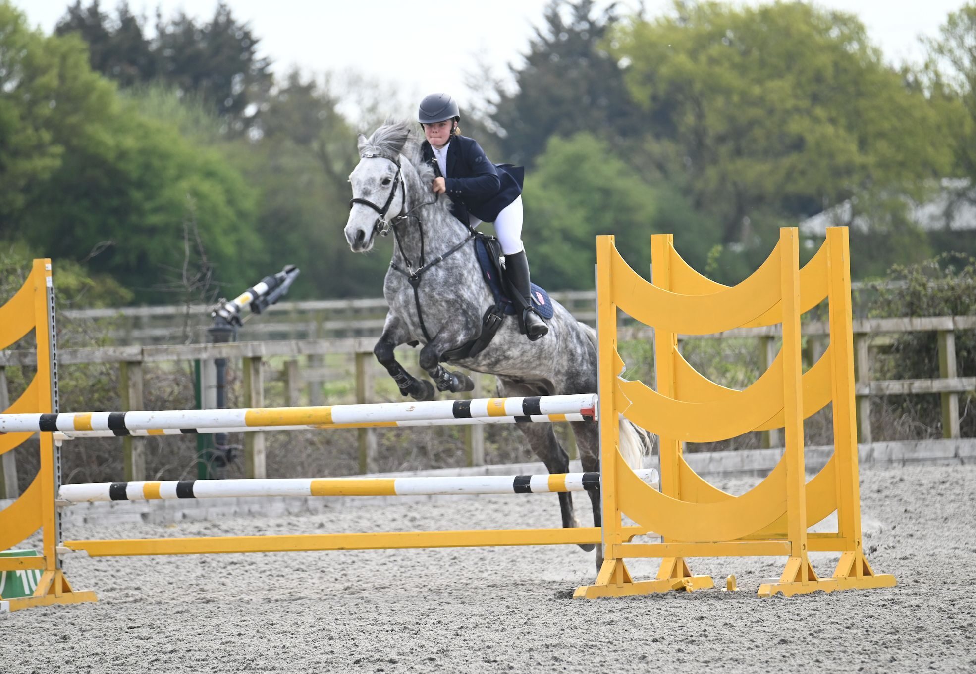 A rider in equestrian kit jumps a grey horse over a yellow and white obstacle during a Brentwood School Equestrian Success show jumping competition in an outdoor arena, with trees and fencing visible in the background.
