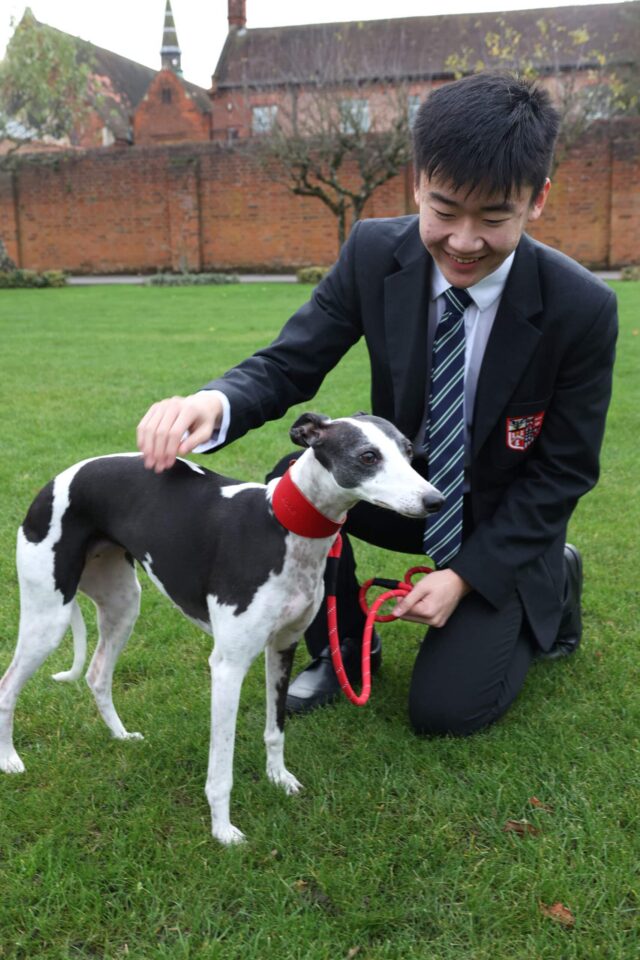 A young man in a suit and tie kneels on grass, smiling and stroking a black and white dog with a red collar and lead, capturing a joyful moment of wellbeing amid brick buildings and trees in the background.