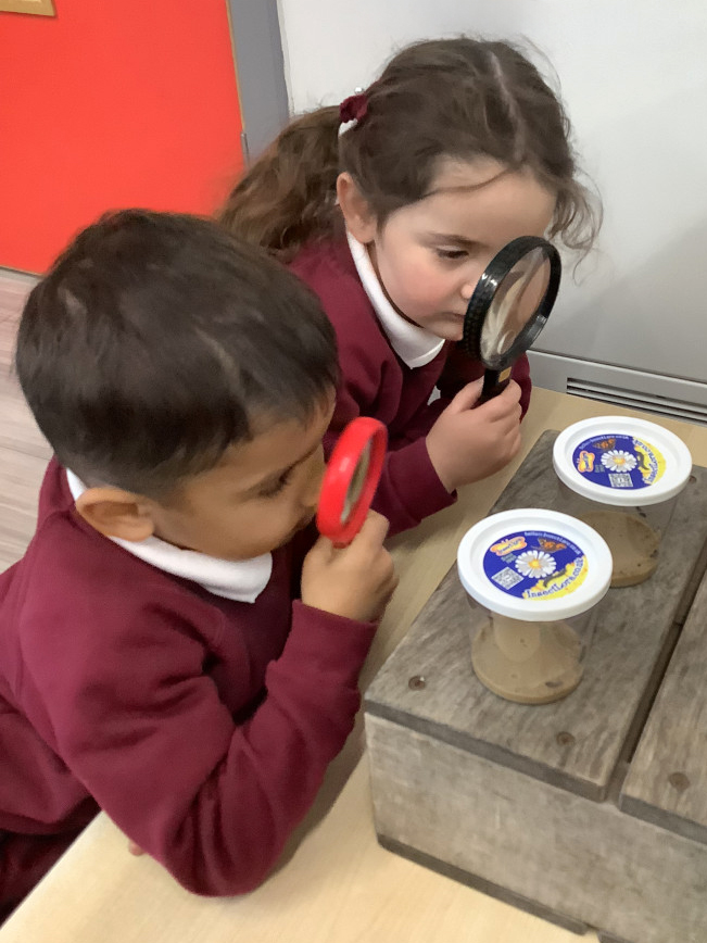 Two young children in maroon school uniforms use magnifying glasses to examine plastic tubs with labels and blue lids, placed on a wooden surface indoors.