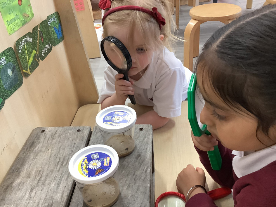 Two young girls closely examine containers with magnifying glasses. The containers have labels and seem to hold small objects or insects. They are seated indoors at a wooden table, showing curiosity and focus.