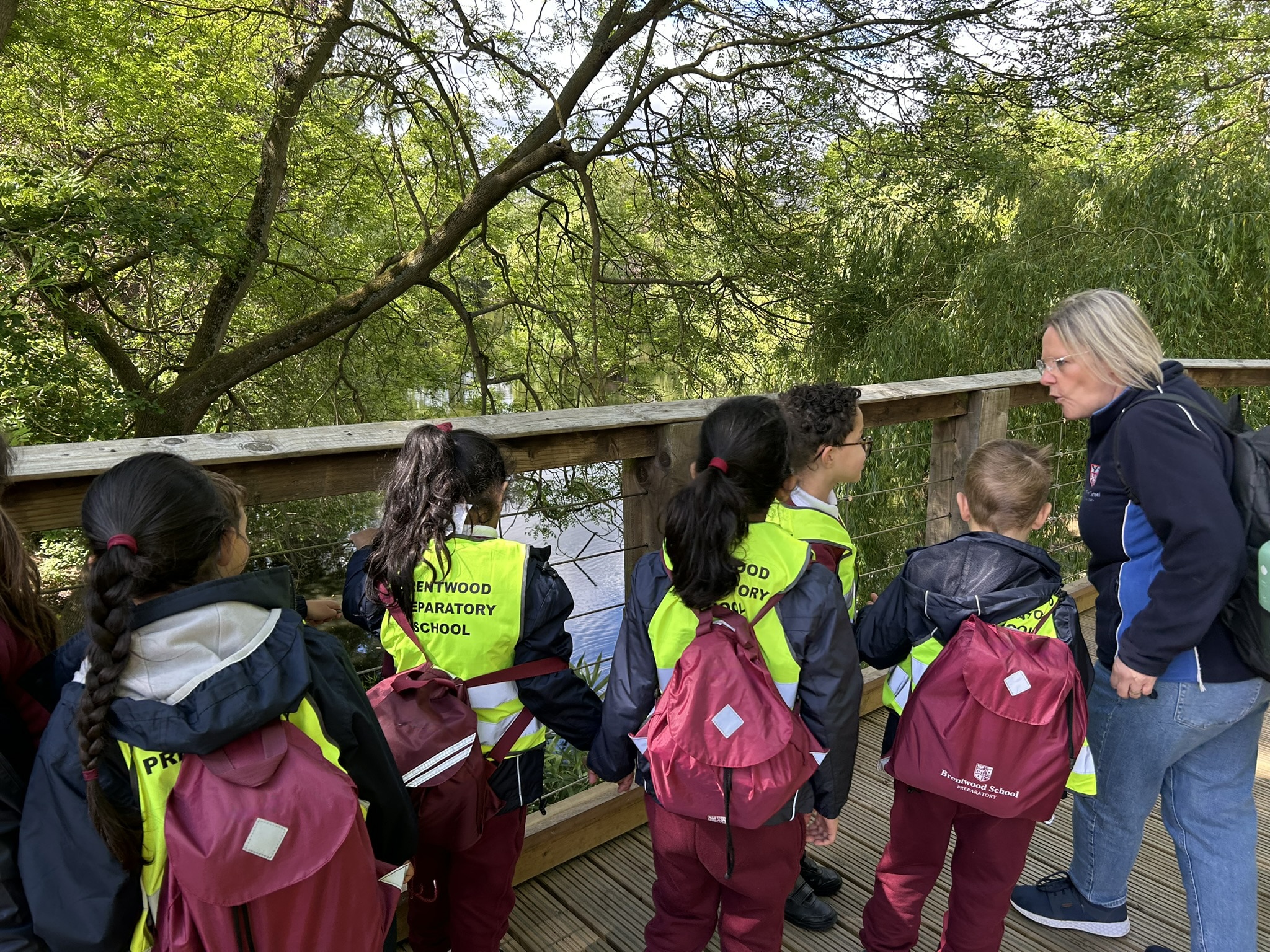 A group of schoolchildren wearing bright yellow vests and maroon rucksacks stand on a wooden bridge with a female adult, looking at a river surrounded by green trees.