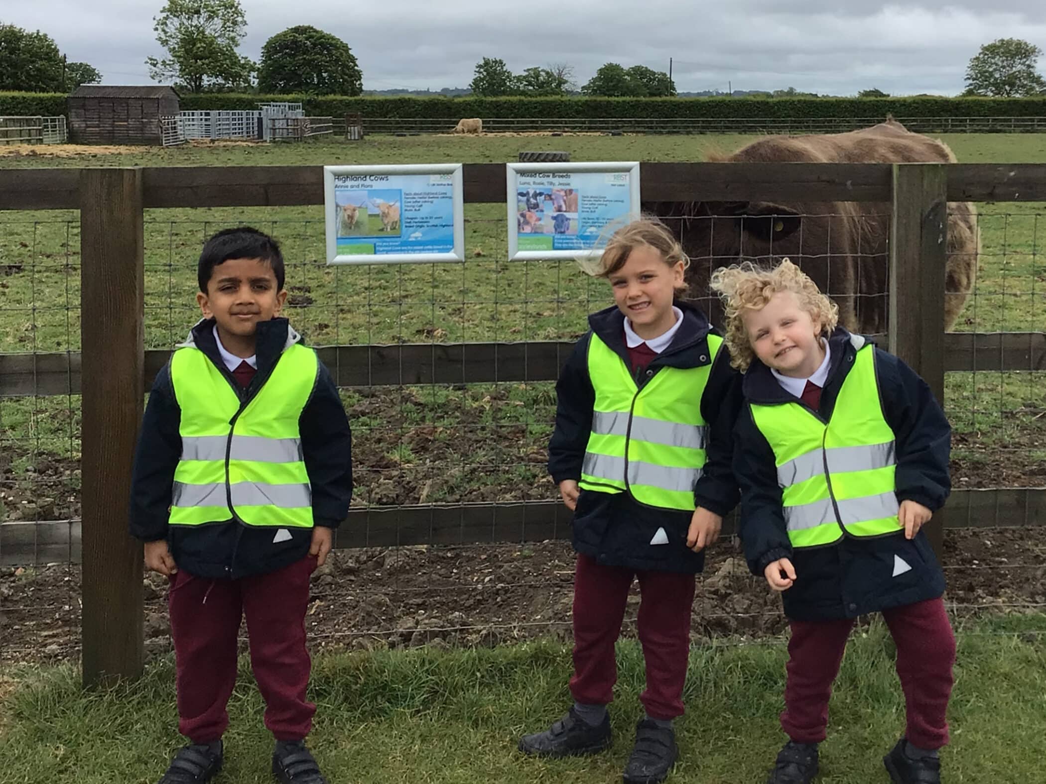 Three young children in high-visibility vests stand in front of a wire fence at a farm, smiling. Behind the fence, signs are posted and an animal, possibly a cow or bison, grazes in the field.