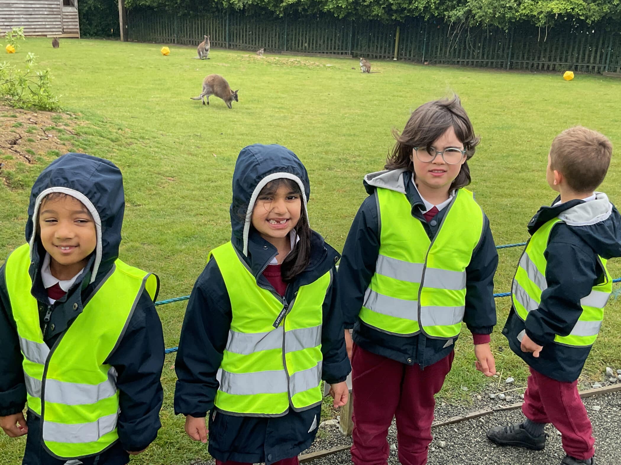 Four young children wearing high-visibility vests stand outside on a grassy area. Three face the camera and one looks away. Kangaroos can be seen in the background near a fence and trees.