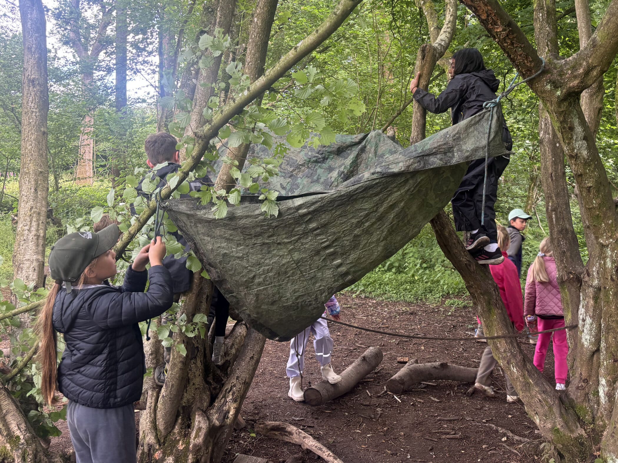 Several children outdoors in a wooded area work together to tie a tarpaulin between tree branches, possibly building a shelter. Some stand on the ground whilst one child stands higher up in the trees. Others observe nearby.
